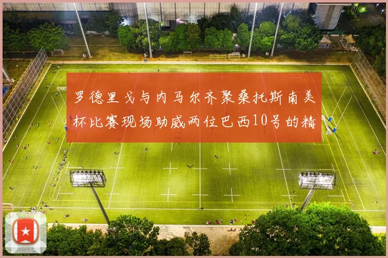 罗德里戈与内马尔齐聚桑托斯南美杯比赛现场助威两位巴西10号的精彩时刻