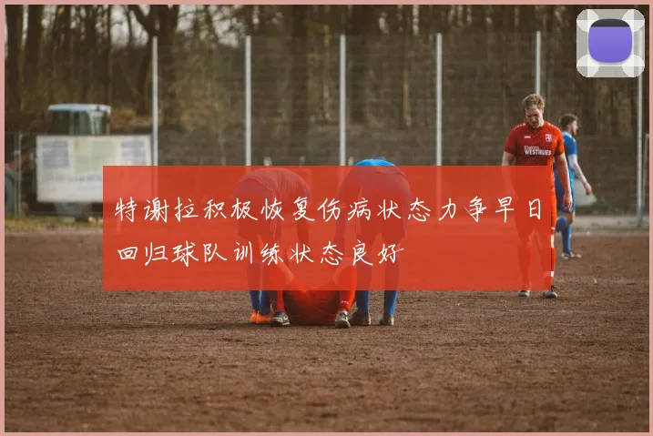 特谢拉积极恢复伤病状态力争早日回归球队训练状态良好